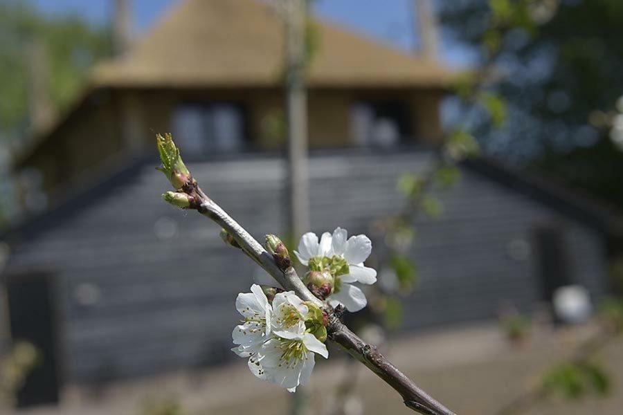 De Steltenberg in de Betuwe Zoelen Buitenkant foto