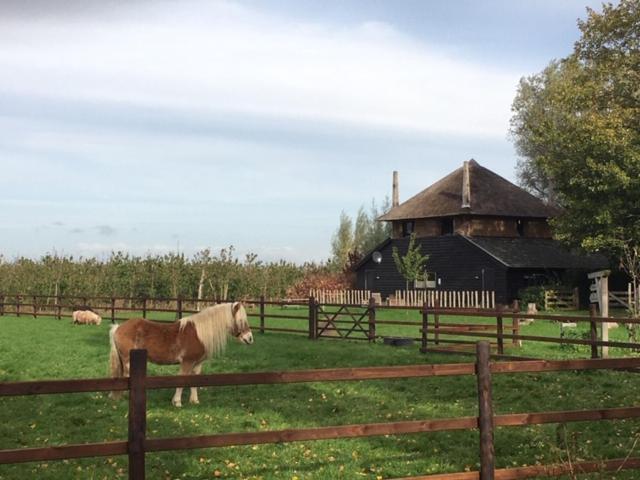De Steltenberg in de Betuwe Zoelen Buitenkant foto